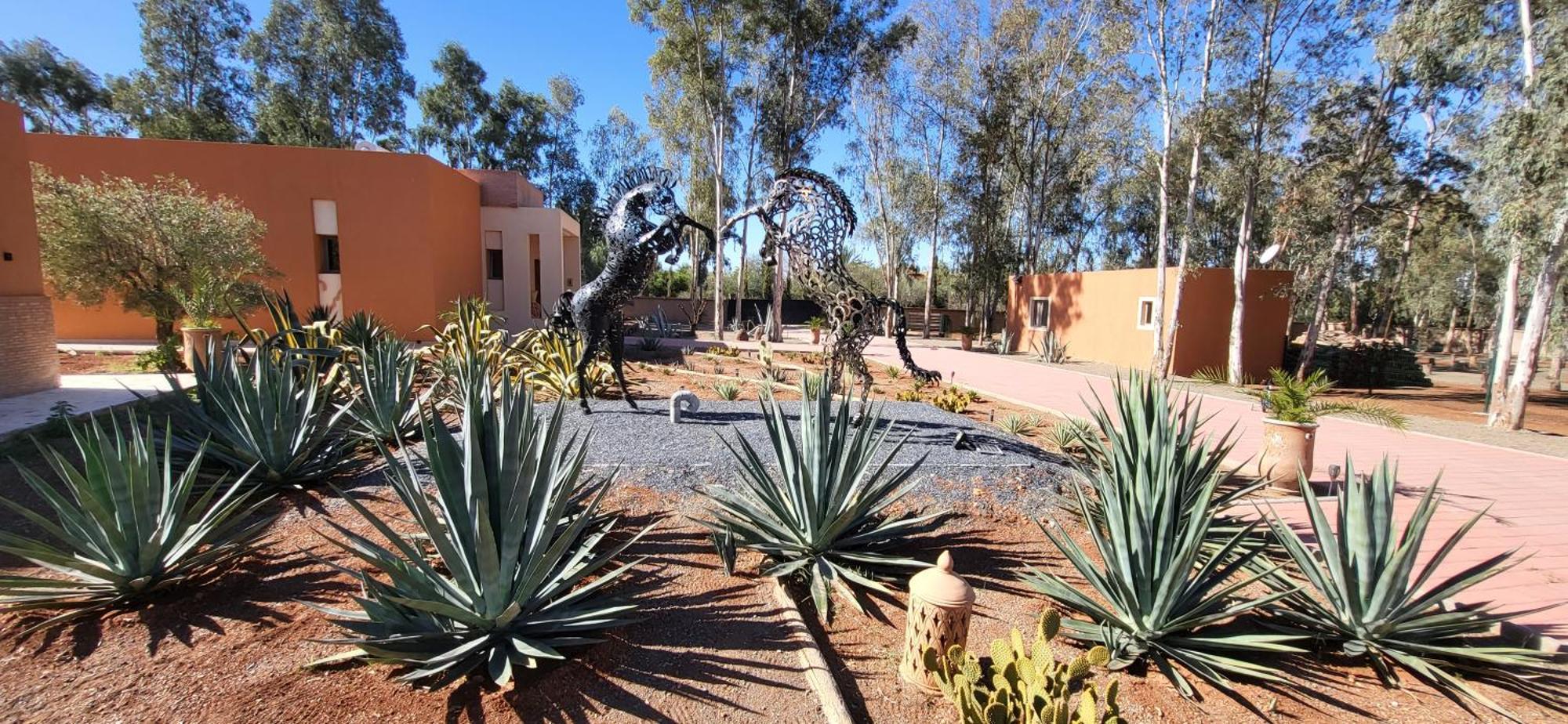 Le Jardin De Jeanne Villa Marrakesh Exterior foto